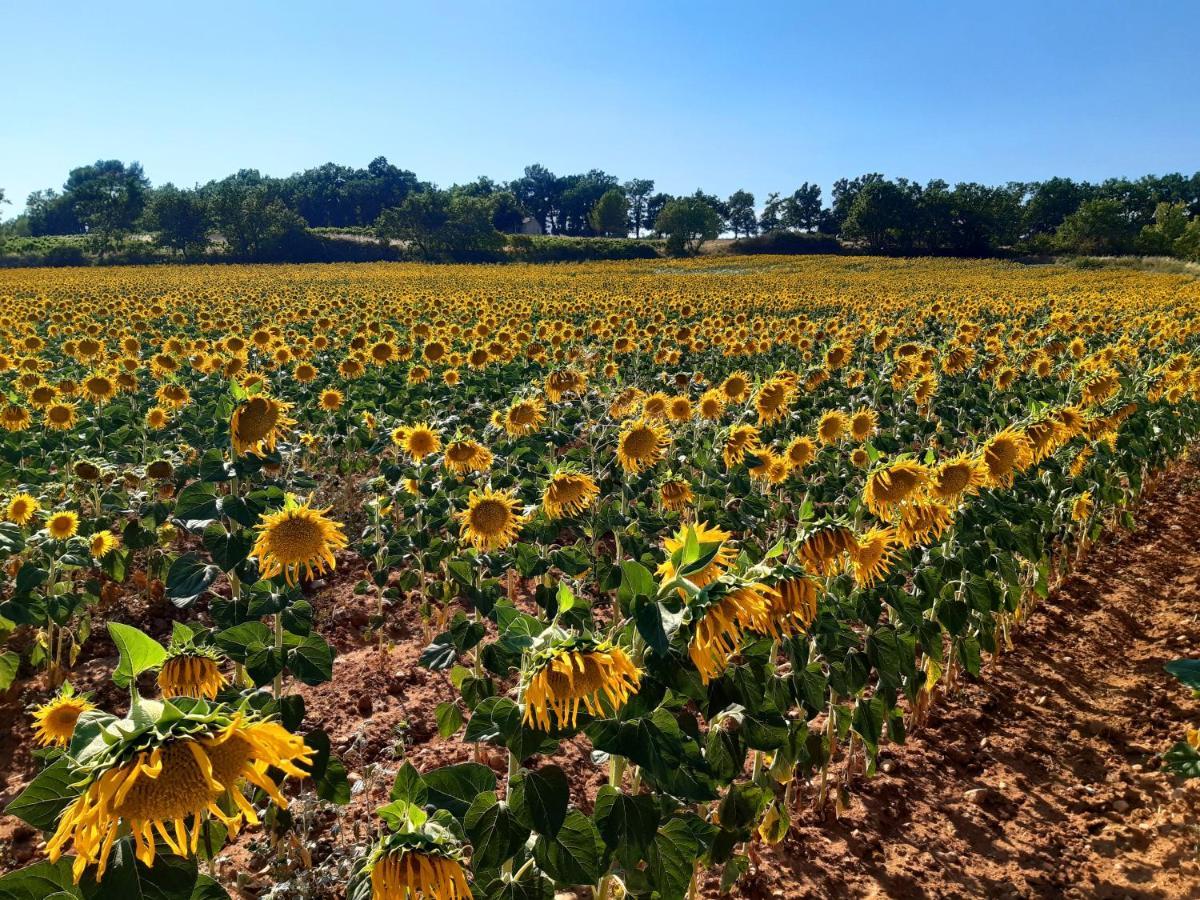 La Vita Dolce, Luberon Grambois ภายนอก รูปภาพ