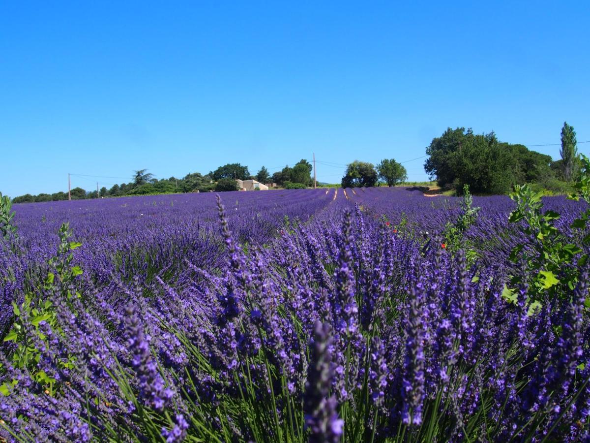 La Vita Dolce, Luberon Grambois ภายนอก รูปภาพ