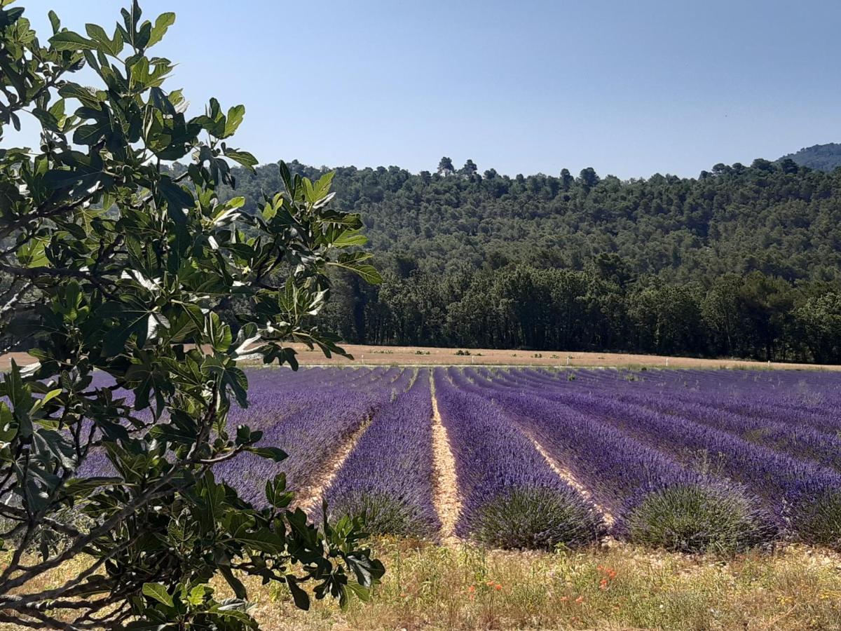 La Vita Dolce, Luberon Grambois ภายนอก รูปภาพ